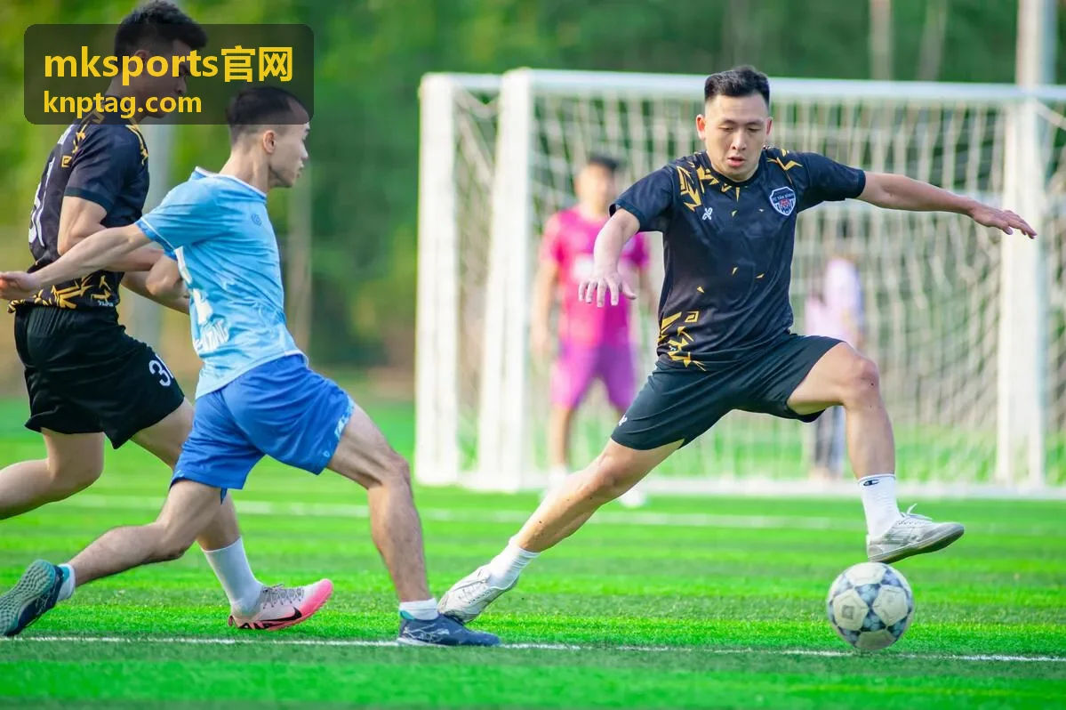 mksports官网 服务支持与配置核对场景