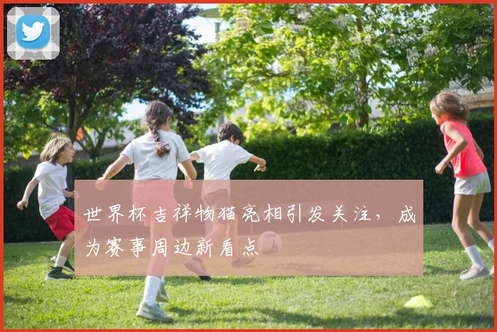 世界杯吉祥物猫亮相引发关注,成为赛事周边新看点