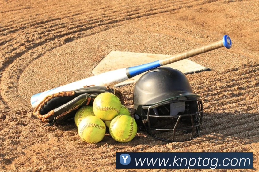 世界杯平台官网登录APP 封面图